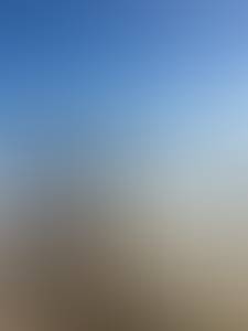 Donald rencontre avec Donald