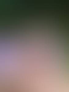 Danielbunes43