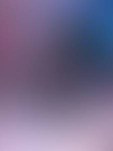 rencontre avec Ellen