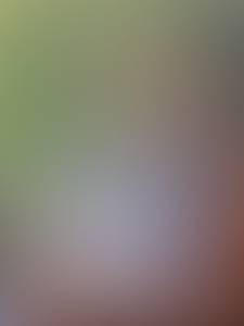 rencontre avec Woodrow