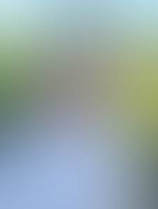 Photo du profil Lawrence, 43 ans à Pontrieux