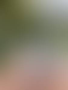 rencontre avec Leroy