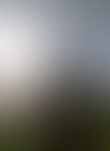 Larisilvaax145, femme coquine de 23 ans - Igrejinha