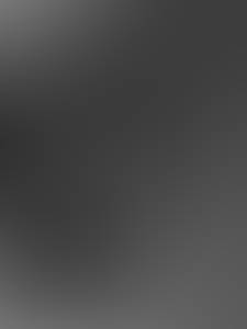 Noah rencontre avec Noah