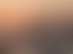 rencontre avec Calvin