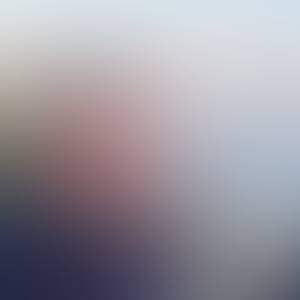 Vincent rencontre avec Vincent