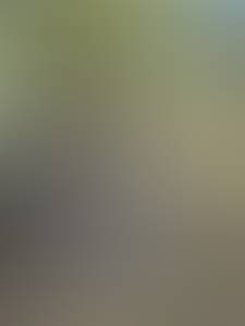 Eric rencontre avec Eric