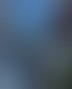 rencontre avec Wayne