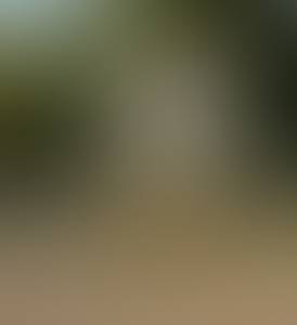 Calvin rencontre avec Calvin