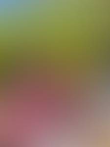 rencontre avec Ramon