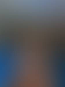 Willis rencontre avec Willis