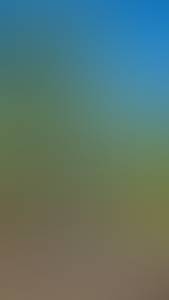 rencontre avec Dwight