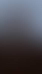 rencontre avec Clinton