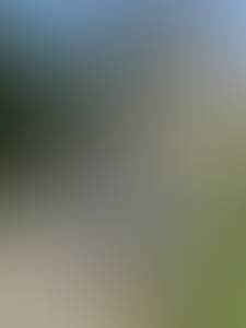 rencontre avec Patrick