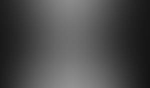 Merle rencontre avec Merle