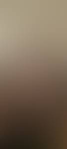 rencontre avec Sylvester