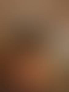 Merle rencontre avec Merle