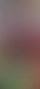 rencontre avec Stuart