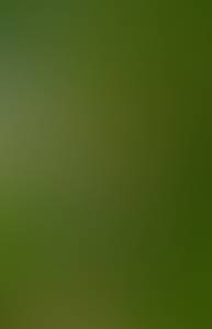 rencontre avec Steven