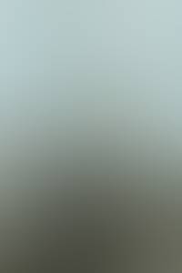 Clignotant1co22