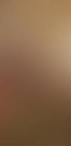 Lee rencontre avec Lee