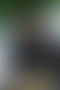 Dale rencontre avec Dale