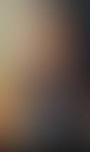 rencontre avec Willie