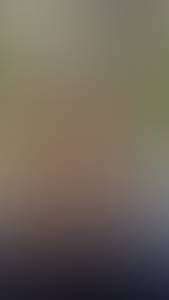 rencontre avec Bruce