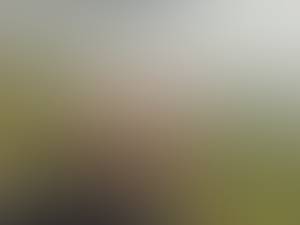 Photo du profil Robert, 56 ans à Privas