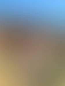 rencontre avec Norman