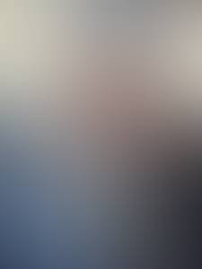 rencontre avec Wayne