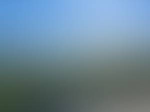 rencontre avec Winifred