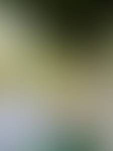 Tommie rencontre avec Tommie