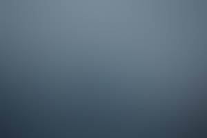 rencontre avec Camille