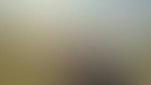 Terence rencontre avec Terence