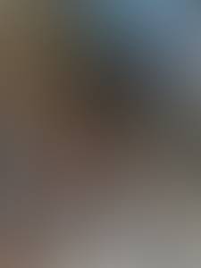 Roosevelt rencontre avec Roosevelt