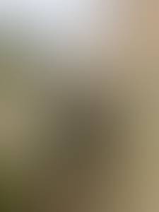 rencontre avec Brett