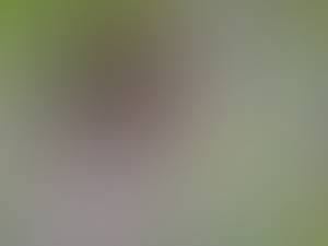 Emily rencontre avec Emily