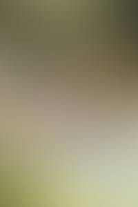 rencontre avec Darnell