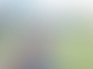 Photo de Irineuavan30