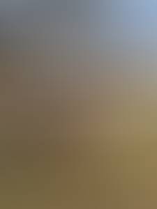 rencontre avec Daryl