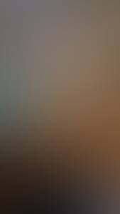 rencontre avec Lloyd