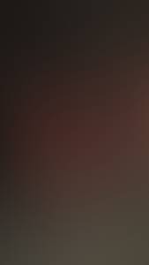 rencontre avec Wallace