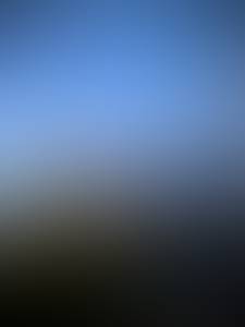 Curtis rencontre avec Curtis