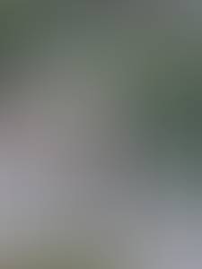 Femme célibataire 44 ans à Paris-4e