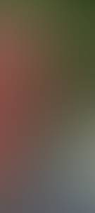 rencontre avec Carlos