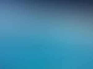 Sammy rencontre avec Sammy