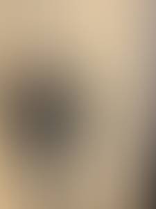 rencontre avec Willie