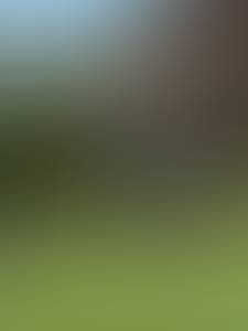 rencontre avec Violet