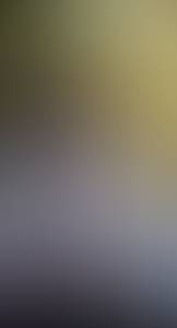 rencontre avec Moses